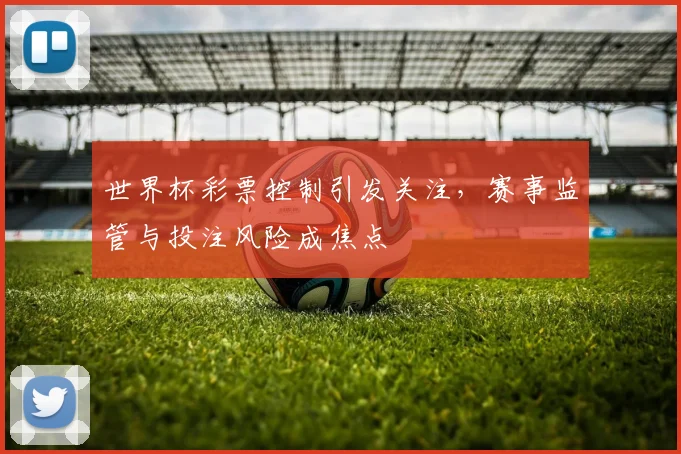 世界杯彩票控制引发关注，赛事监管与投注风险成焦点