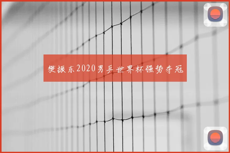 樊振东2020男乒世界杯强势夺冠