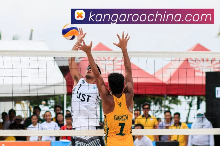 多媒体互动体验