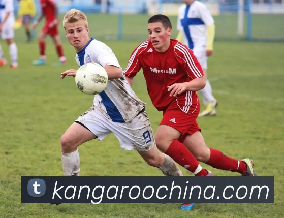 pg官网地址APP 高清赛事图